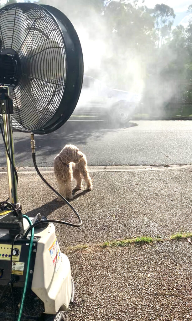 UK heatwave tips